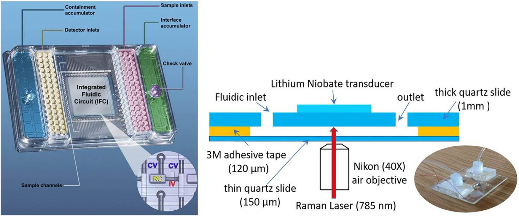 Figure 3 
                  Left: Picture of the high-throughput (48 × 48 array) microfluidic device used in ref. [32] (developed in ref. [33]) for the transcriptomic profiling for speeding drug development programs. The sample and reagents are introduced through the inlets, which are pressure-driven through valves to the integrated fluidic circuit, composed of fluid lines, valves, and microchambers in which the PCR takes place. Right: Cross-sectional view and picture of the chamber of the Raman platform developed in ref. [34]. Cells go through silicone tubes into a trapping chamber of quartz. Then, acoustic pressure is applied through a lithium transducer to make them levitate and aggregate to determine the Raman spectra. Images reproduced with permission from PLoS (left, [33]) and Communications Biology (right, [34]) journals.
               