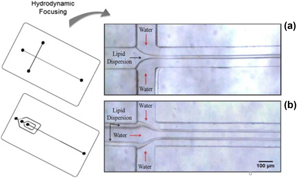 Figure 7 
                  Schematic and photography of the microfluidic devices developed in ref. [59] depicting the single (a) and double (b) hydrodynamic focusing. Lipids are diluted in ethanol and injected in the center channel with a flow velocity of 143 mm/s. Deionized water flows through the exterior channels to hydrodynamically compress the central flow. In the case of double focusing, another flow-focusing stream is added to each side. Image reproduced with permission from Chemical Engineering Journal [59].
               