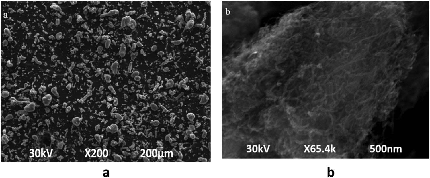 Figure 3 
                  (a) SEM of Al–Cu–Mg–T351 Al powder and (b) SEM image of CNT powder (MWCNT).
               