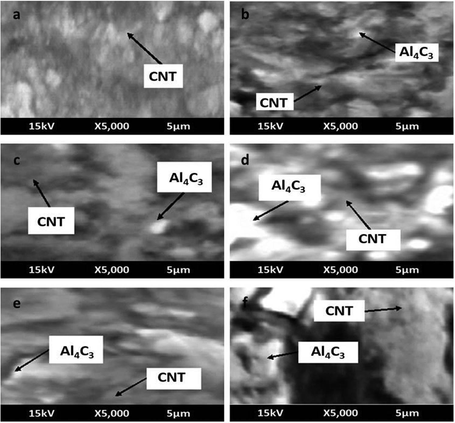 Figure 13 
                  SEM of heat-treated (a) 0%, (b) 0.1%, (c) 0.2%, (d) 0.3%, (e) 0.4%, and (f) 0.5% MWCNT-reinforced Al–Cu–Mg–T351 alloy.
               
