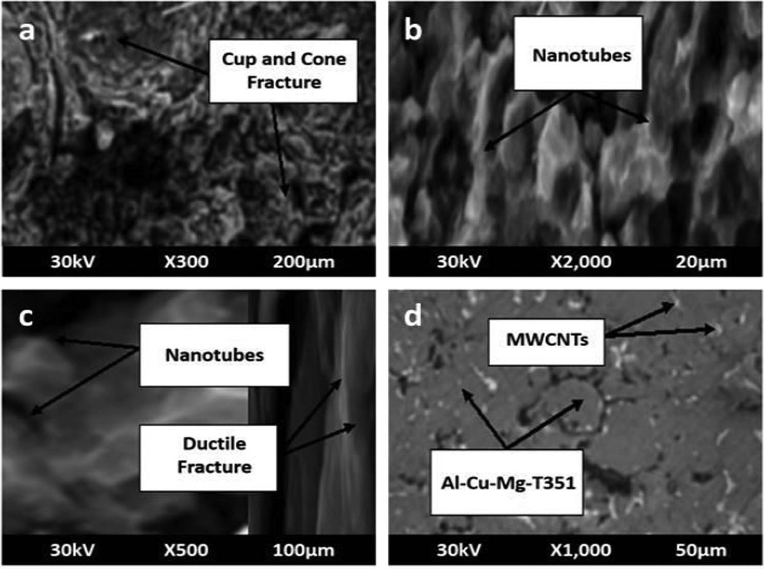 Figure 14 
                  SEM image of Al–Cu–Mg–T351 + MWCNT, (a) tensile fracture with cup-cone failure, (b) sintered-heat treated surface with MWCNT fracture, (c) enlarged image of the X, and (d) sintered-heat treated surface with the distribution of nanotubes at the grain boundary.
               