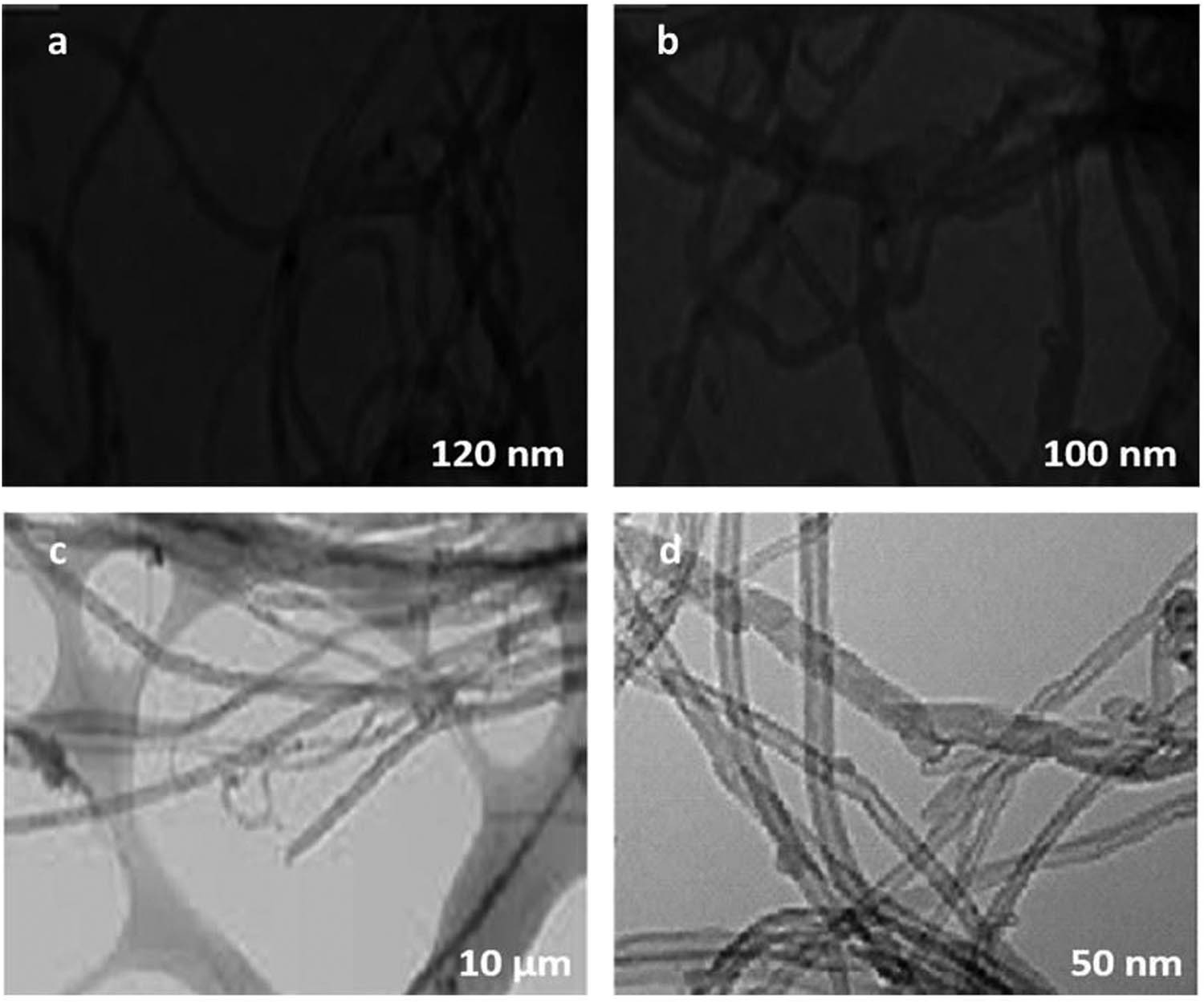 Figure 15 
                  (a–d) TEM images of MWCNT powder (courtesy: Nanoshel, USA).
               