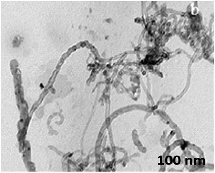 Figure 16 
                  TEM image of Al–Cu–Mg–T351 + 0.5% MWCNT nanocomposites.
               