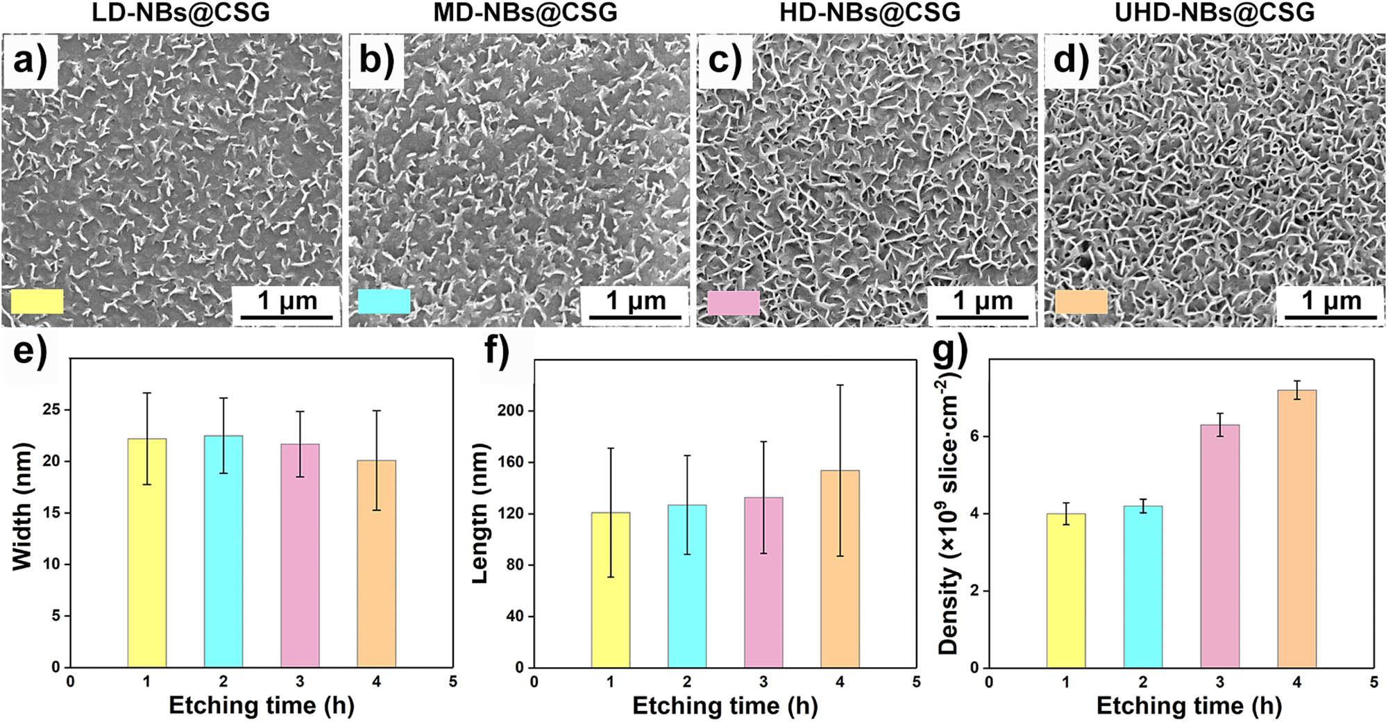 Figure 2 
                  Surface topography and topography statistics of NBs@CSG. SEM images of etched-CSG after etching for different time: (a) 1 h, (b) 2 h, (c) 3 h, and (d) 4 h. Topographic parameters of the NBs: (e) width, (f) length, and (g) density.
               