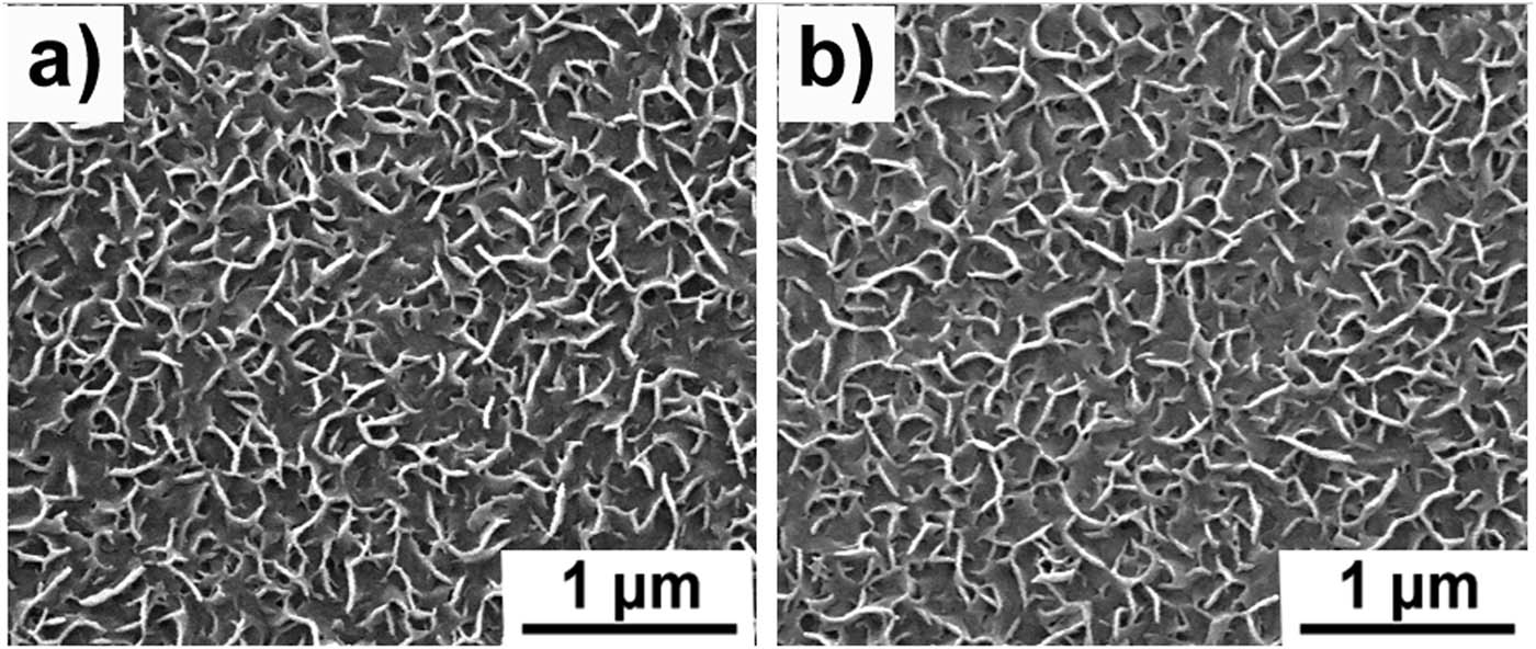 Figure 5 
                  Binding of NBs on CSG substrate surface. The surface topography after ultrasonic cleaning-bactericidal experiment: (a) 2 times and (b) 4 times. The ultrasonic cleaning process: 5 min.
               
