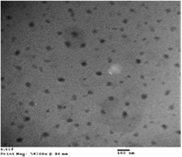 Figure 1 
                     Transmission electron micrographs (TEMs) of glutathione-loaded niosomes, N-GSH (formulation, GTN-8).
                  