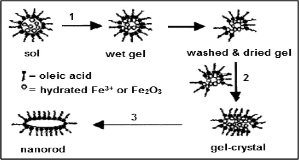 Figure 1 
                  Schematic presentation of the formation of nanorods in the sol–gel method [48].
               
