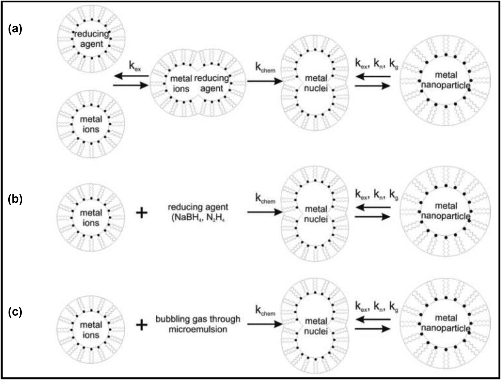 Figure 2 
                  A schematic presentation of preparation of nanoparticles by microemulsion methods [50].
               