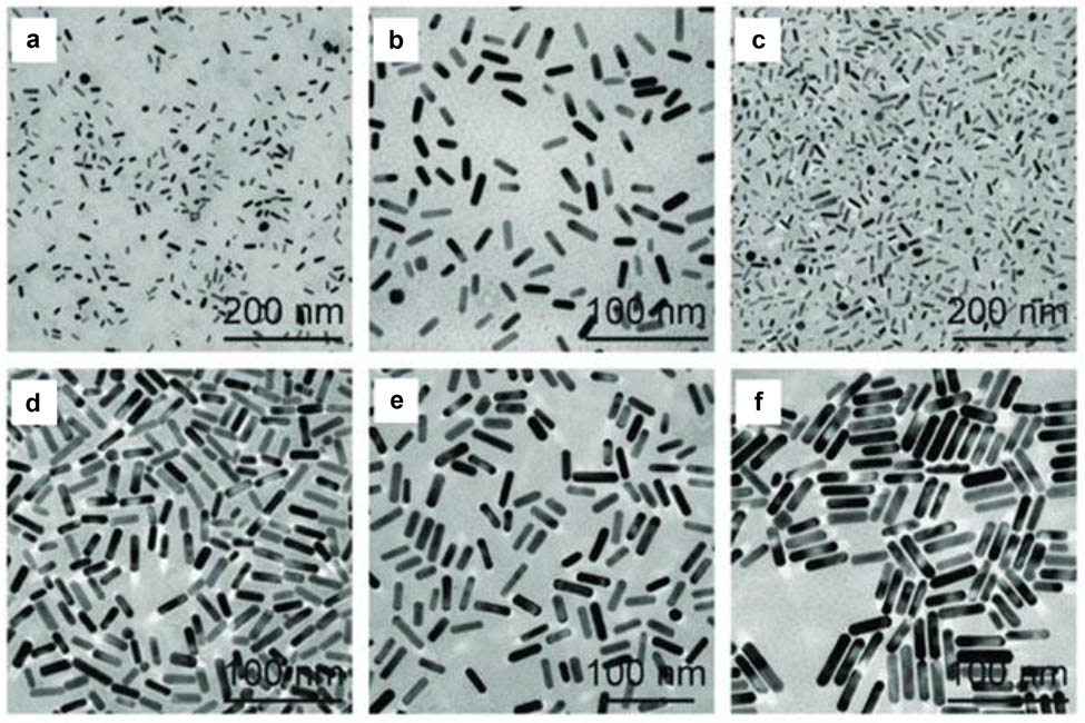 Figure 4 
               TEM images of AuNRs of different sizes [127].
            