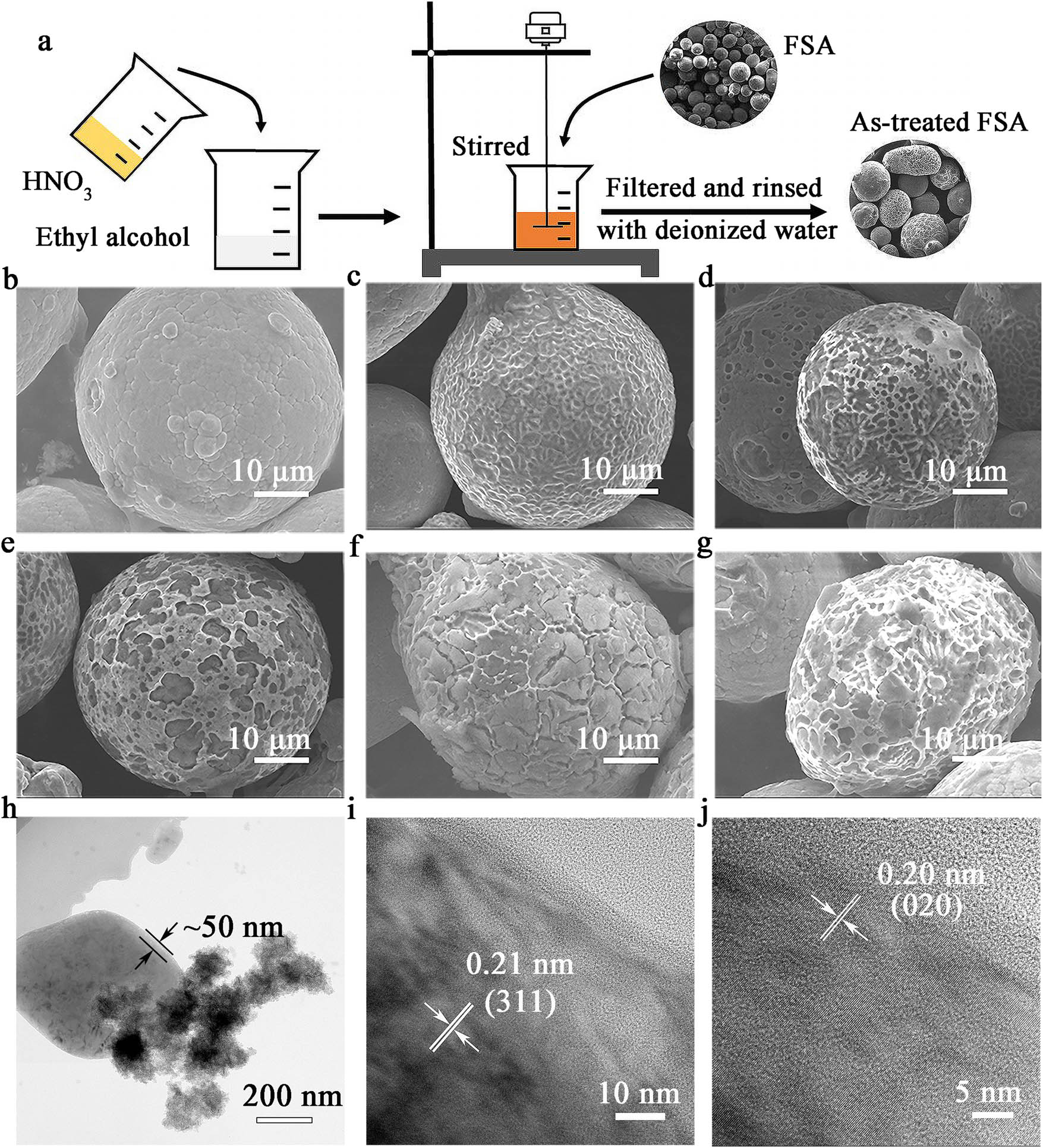 Figure 1 
               (a) Schematic of as-treated FSA powders. SEM images showing the surface appearance of FSA powders oxidized at different periods: (b) 0 min, (c) 1 min, (d) 5 min, (e) 10 min, (f) 20 min, and (g) 30 min. (h) TEM image and corresponding HTEM images (I and j) of corrosion products of FSA10NA.
            