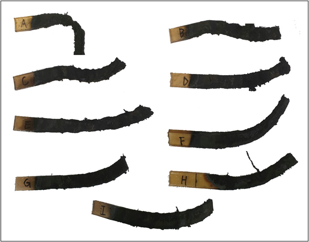 Figure 3 
                  Schematic representation of nine different specimens for the core after burning in the horizontal burning test.
               