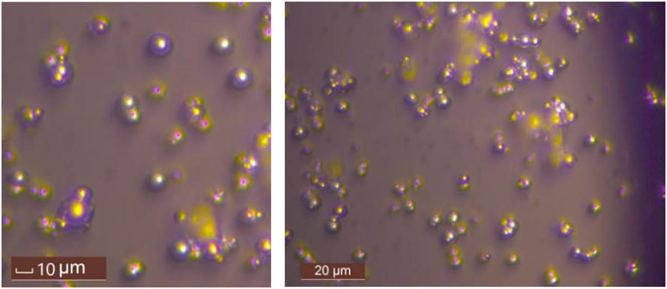 Figure 1
Photo of iron powder sample with nominal diameter of 10 µm carbonyl.
