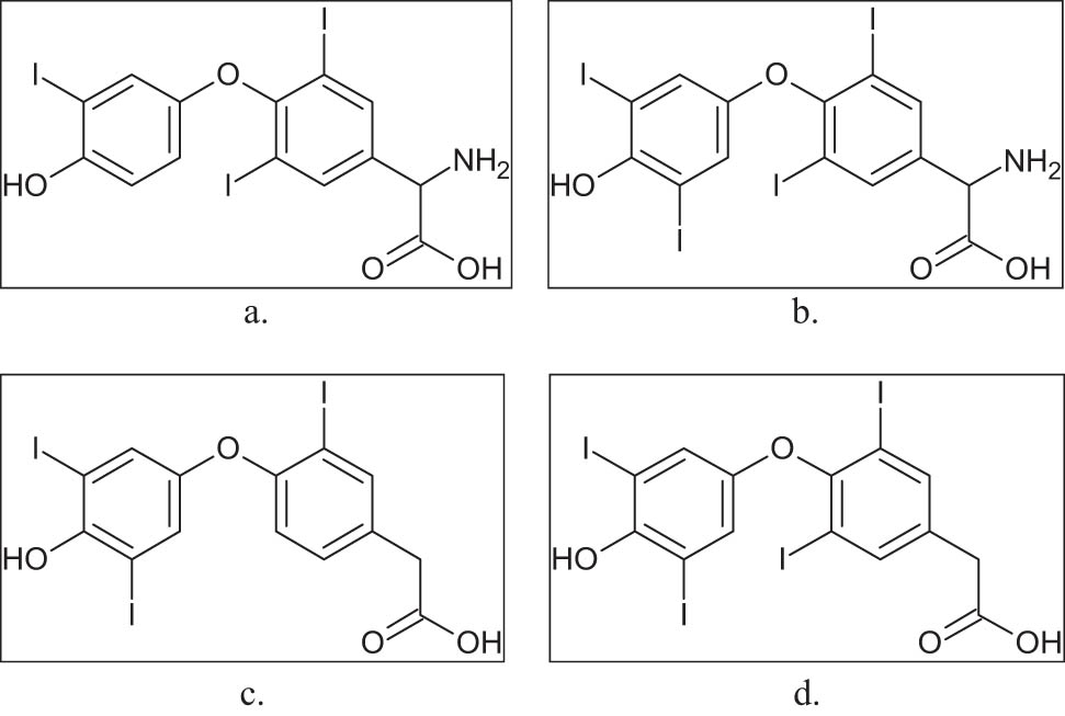 Figure 5 
               Thyroid hormone compounds, its analogs, and thyrointegrin antagonist; (a) T3, (b) T4, (c) Triac, and (d) Tetrac.
            