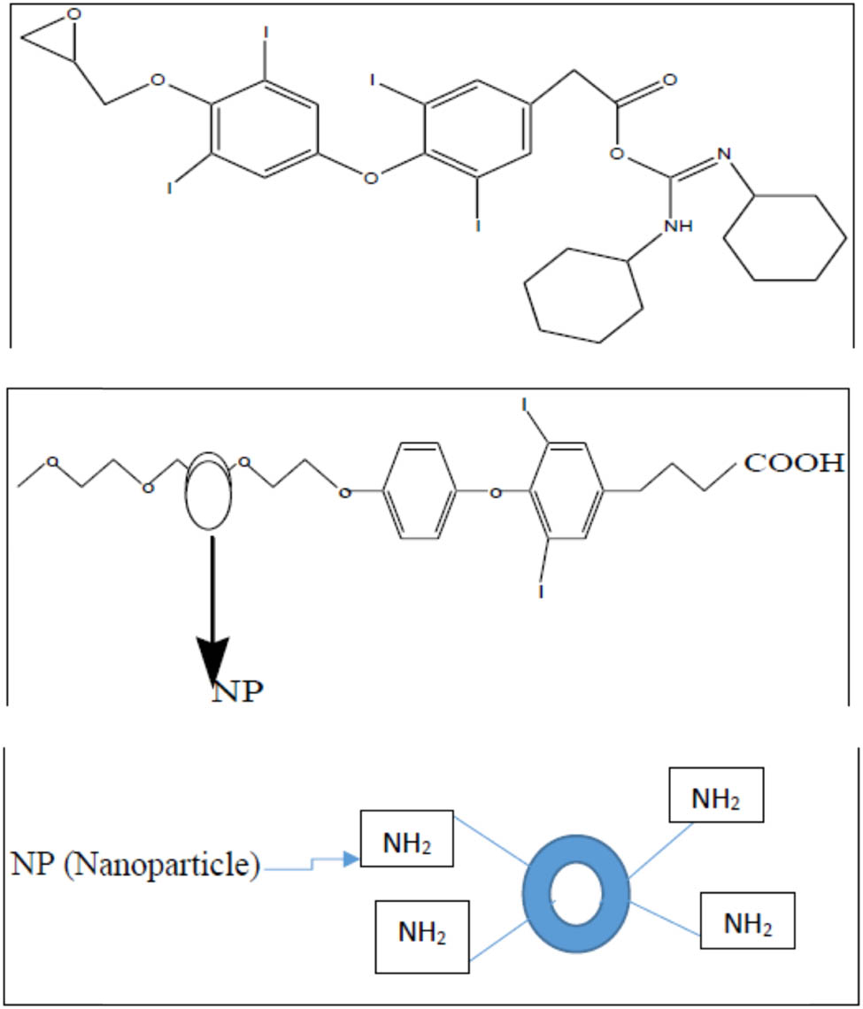 Figure 7 
               Nano-Tetrac drug model.
            