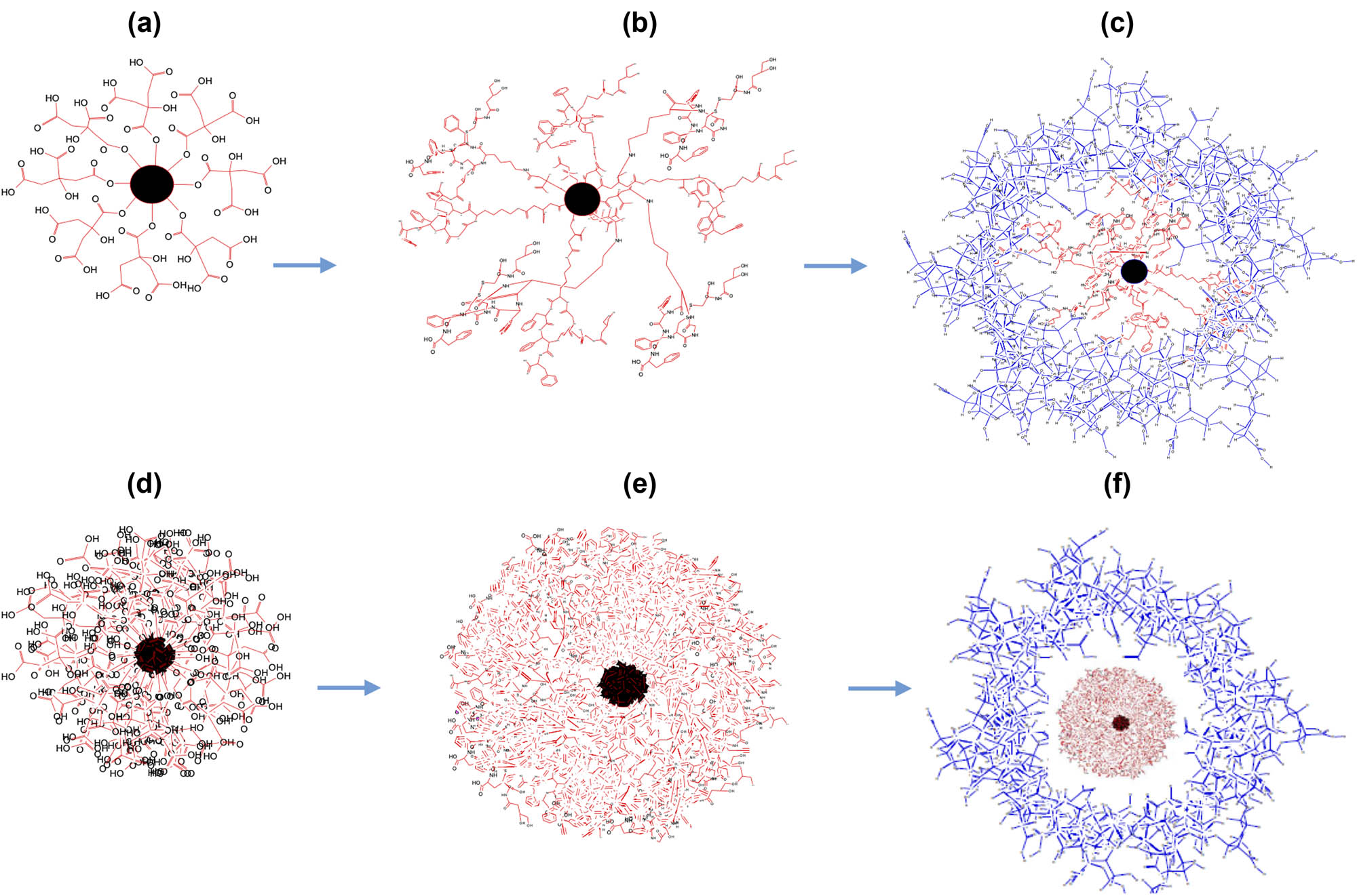Figure 9
Structural representations of the AgNP nanocarriers; (a–c) 2D renderings, (a) AgNPs–CTT (citrate bound to the nanoparticle, nanoparticle depicted in black). (b) AgNPs–OCT (OCT covalently bound to citrate, CTT). (c) AgNPs–OCT–Alg (no chemical bonding; instead, physical wrapping of the alginate around the AgNPs–OCT. Alg: alginate, coatings shown in blue). 3D renderings of the AgNPs. (d–f) 3D renderings, (d) AgNPs–CTT. (e) AgNPs–CTT–OCT. (f) AgNPs–OCT–Alg. Alginate coatings are not chemically bound. The core of the formulated AgNPs–OCT is shown in red, while the surrounding alginate wrapping is shown in blue.