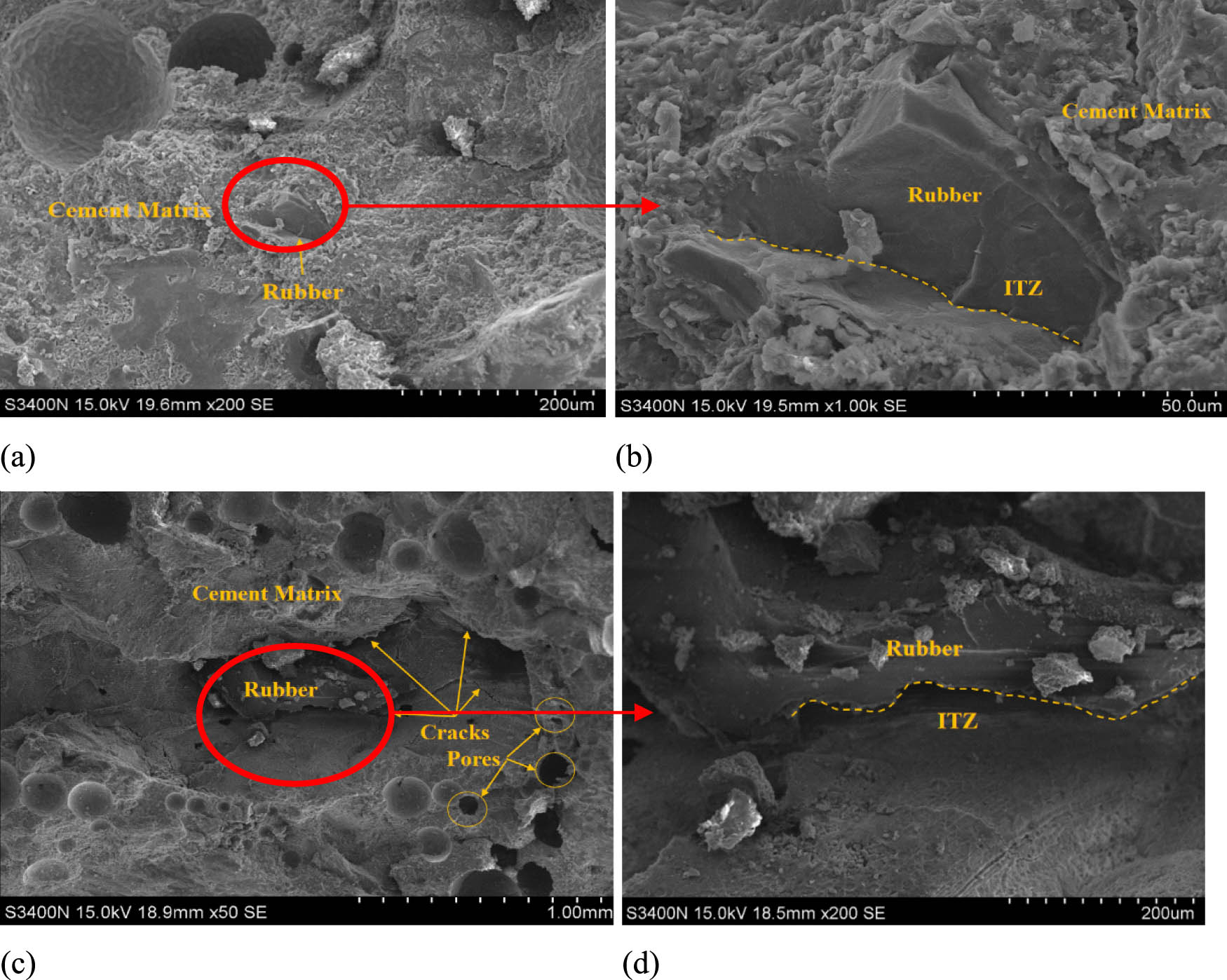 Figure 21 
                     Comparison of microstructures of RRAC with and without rubber modification treatment: (a and b) with treatment and (c and d) without treatment.
                  