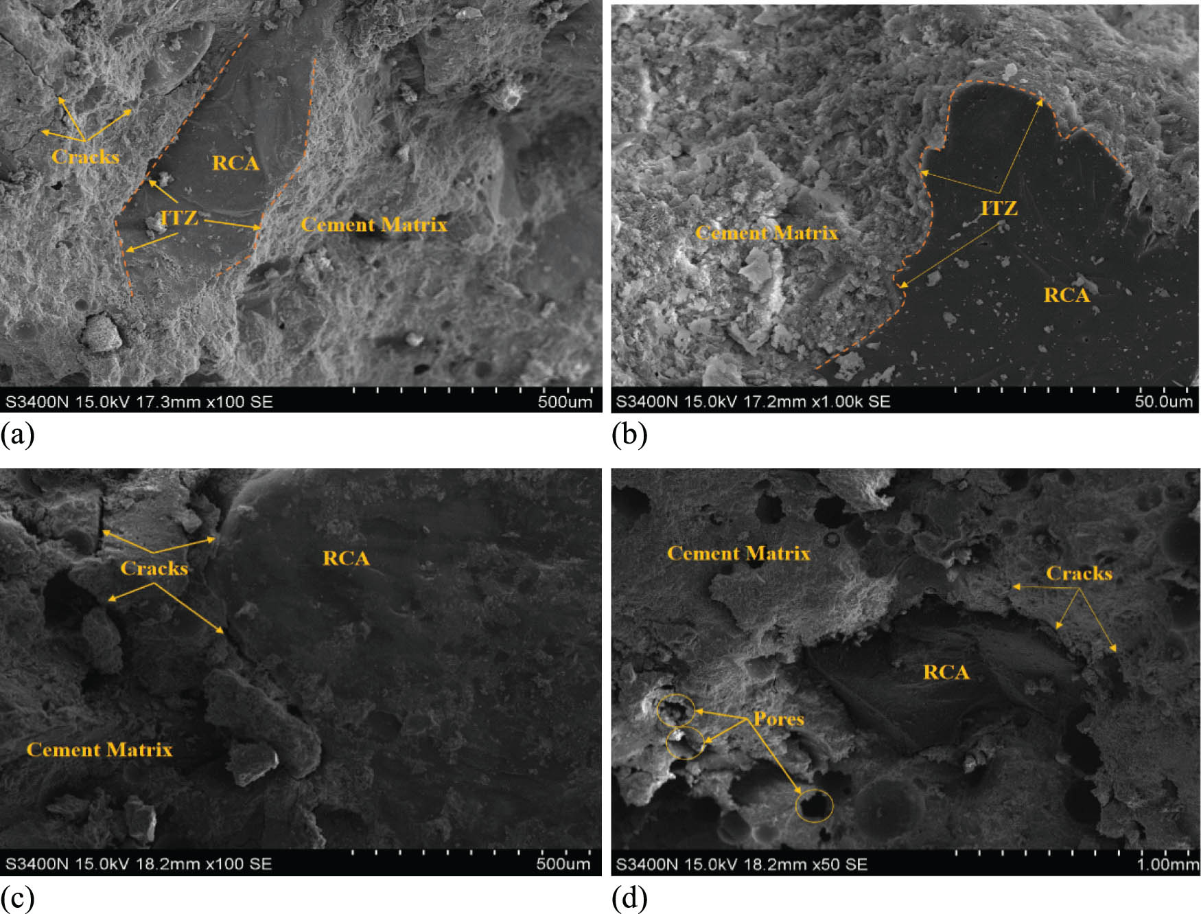 Figure 22 
                     Comparison of microstructures of RRAC with and without RCA modification treatment: (a and b) with AM treatment and (c and d) without AM treatment.
                  