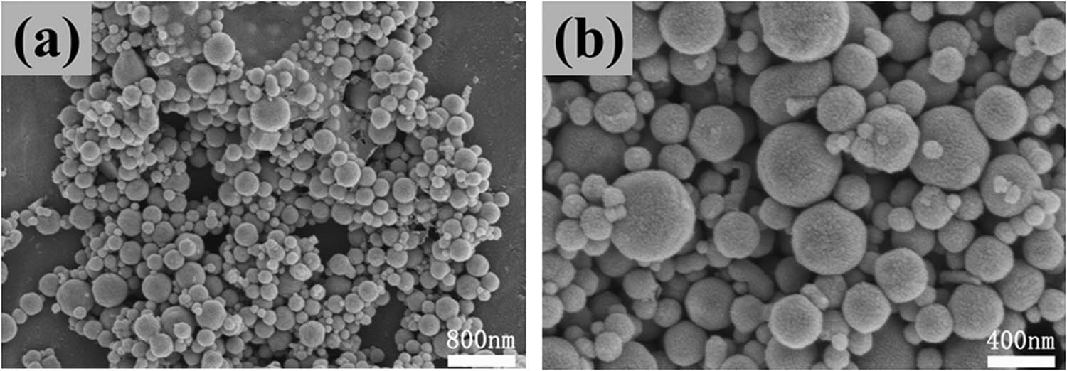 Figure 1 
                  SEM images of Ni particles: (a) magnification: 20k and (b) magnification: 50k.
               