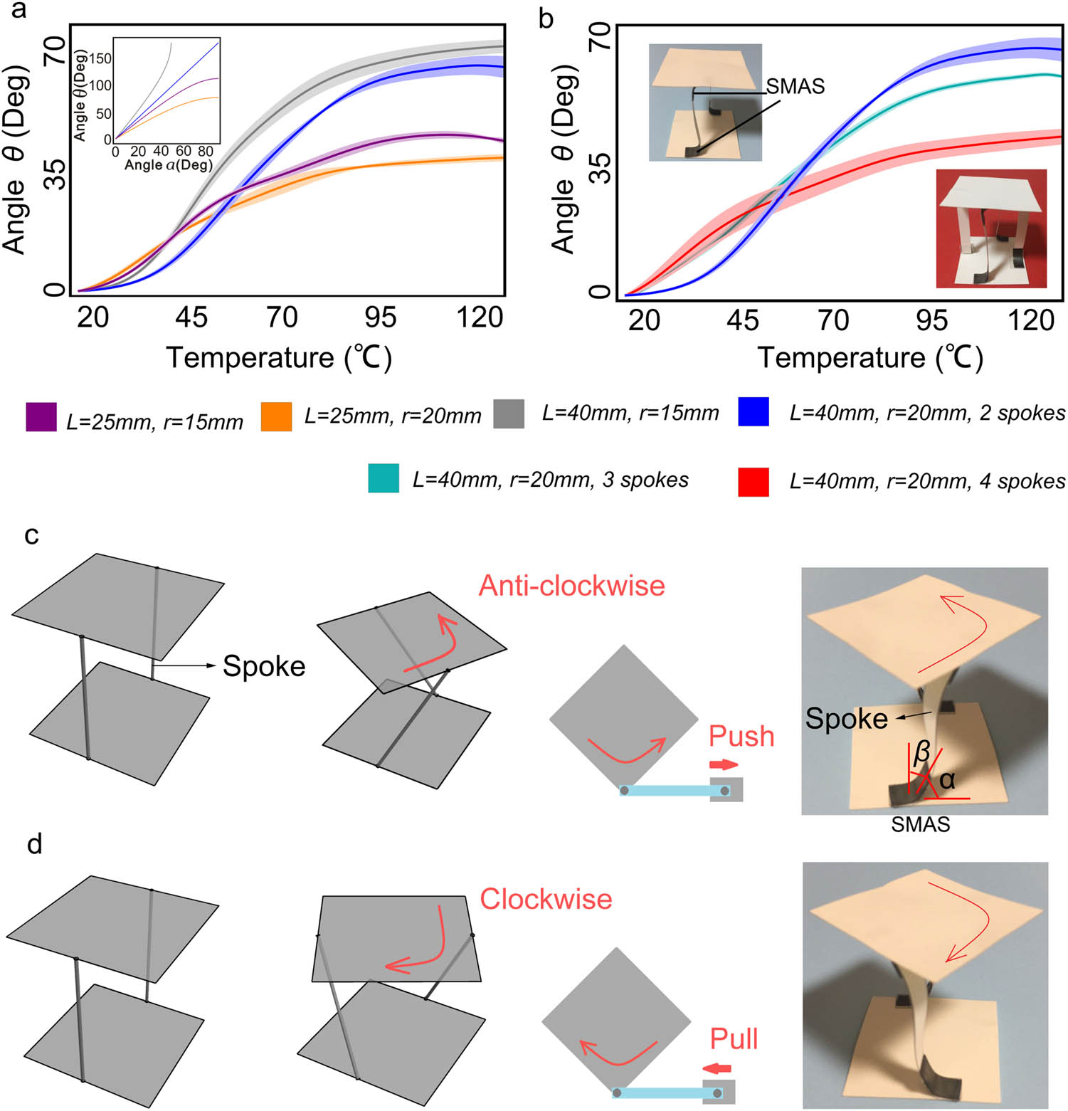 Figure 2 
                  (a) 
                        
                           
                           
                              θ
                           
                           \theta 
                        
                      – temperature relationship with different geometrical parameter combinations, inset: 
                        
                           
                           
                               
                              θ
                              −
                              α
                           
                           \text{&#x00A0;}\theta -\text{&#x03B1;}
                        
                      relationship with different geometrical parameter combinations. (b) 
                        
                           
                           
                              θ
                           
                           \theta 
                        
                      – temperature relationship with different number of spokes. The color rule of the curves is shown below the plots (with two spokes: purple: 
                        
                           
                           
                              L
                              =
                              25
                              
                              mm and
                              
                              r
                              =
                              15
                              
                              mm
                           
                           L=25\hspace{.5em}\text{mm and}\hspace{.5em}r=15\hspace{.5em}\text{mm}
                        
                     , orange: 
                        
                           
                           
                              L
                              =
                              25
                              
                              mm and
                              
                              r
                              =
                              20
                              
                              mm
                           
                           L=25\hspace{.5em}\text{mm and}\hspace{.5em}r=20\hspace{.5em}\text{mm}
                        
                     , gray: 
                        
                           
                           
                              L
                              =
                              40
                              
                              mm and
                              
                              r
                              =
                              15
                              
                              mm
                           
                           L=40\hspace{.5em}\text{mm and}\hspace{.5em}r=15\hspace{.5em}\text{mm}
                        
                     , and blue: 
                        
                           
                           
                              L
                              =
                              40
                              
                              mm and
                              
                              r
                              =
                              20
                              
                              mm
                           
                           L=40\hspace{.5em}\text{mm and}\hspace{.5em}r=20\hspace{.5em}\text{mm}
                        
                     ; with three spokes: cyan: 
                        
                           
                           
                              L
                              =
                              40
                              
                              mm and
                              
                              r
                              =
                              20
                              
                              mm
                           
                           L=40\hspace{.5em}\text{mm and}\hspace{.5em}r=20\hspace{.5em}\text{mm}
                        
                     ; and with four spokes: red: 
                        
                           
                           
                              L
                              =
                              40
                              
                              mm and
                              
                              r
                              =
                              20
                              
                              mm
                           
                           L=40\hspace{.5em}\text{mm and}\hspace{.5em}r=20\hspace{.5em}\text{mm}
                        
                     ). For each experimental result with an individual color, the central curve shows the average of three measurements, and the region contains measurement errors. (c) The motor with anticlockwise twist producing propulsive force. (d) The motor with clockwise twist producing pulling force.
               