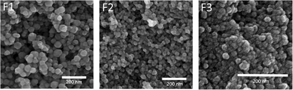 Figure 6 
                  FESEM micrograph of Fe-substituted ZnFe2O4 NPs with different sizes and three batches including 10 mL (F1), 20 mL (F2,) and 30 mL (F3) of benzyl ether. Adapted from ref. [77] with permission from Elsevier™.
               