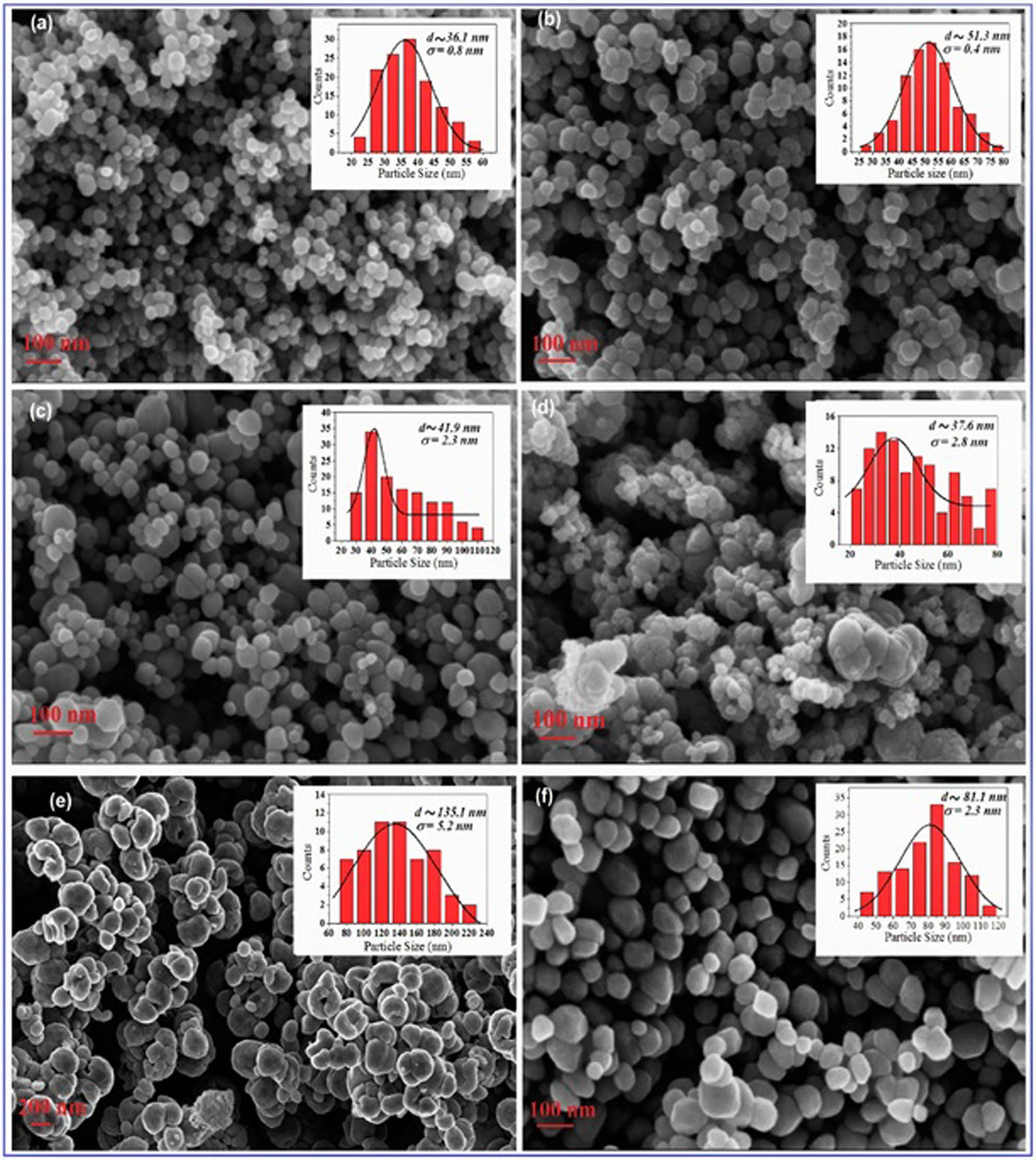 Figure 8 
                  FESEM images of (a) magnetite, (b) CoFe2O4, (c) NiFe2O4, (d) MnFe2O4, (e) CuFe2O4, and (f) ZnFe2O4. Adapted from ref. [81] with permission from Elsevier™.
               
