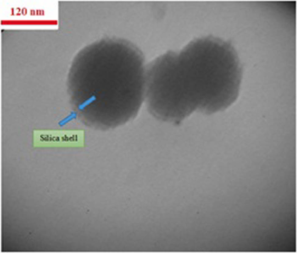 Figure 20 
               TEM image of the CuFe2O4@SiO2 nanocomposite at 400°C. Adapted from ref. [138] with permission from Elsevier™.
            