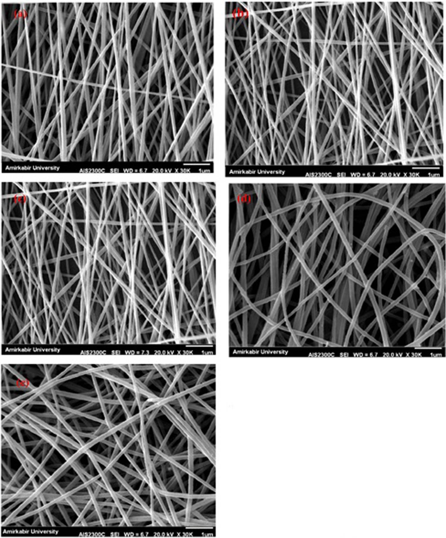 Figure 21 
               SEM images of (a) pure CS, (b) CS/CoFe2O4 (10 wt%), (c) CS/CoFe2O4 (20 wt%), (d) CS/CoFe2O4/TiO2 (20 wt%), and (e) CS/CoFe2O4/TiO2/DOX nanofibers. Adapted from ref. [139] with permission from Elsevier™.
            