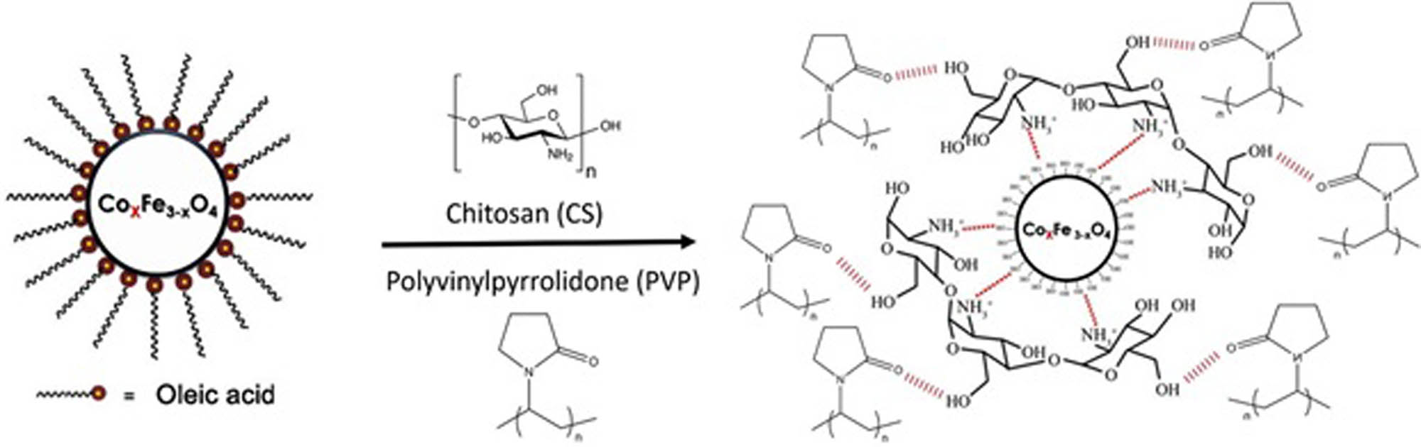 Figure 22 
               A schematic depiction of the synthesis mechanism of the composite of CS and PVP with CoFe2O4 NPs. Adapted from ref. [141] with permission from Elsevier™.
            
