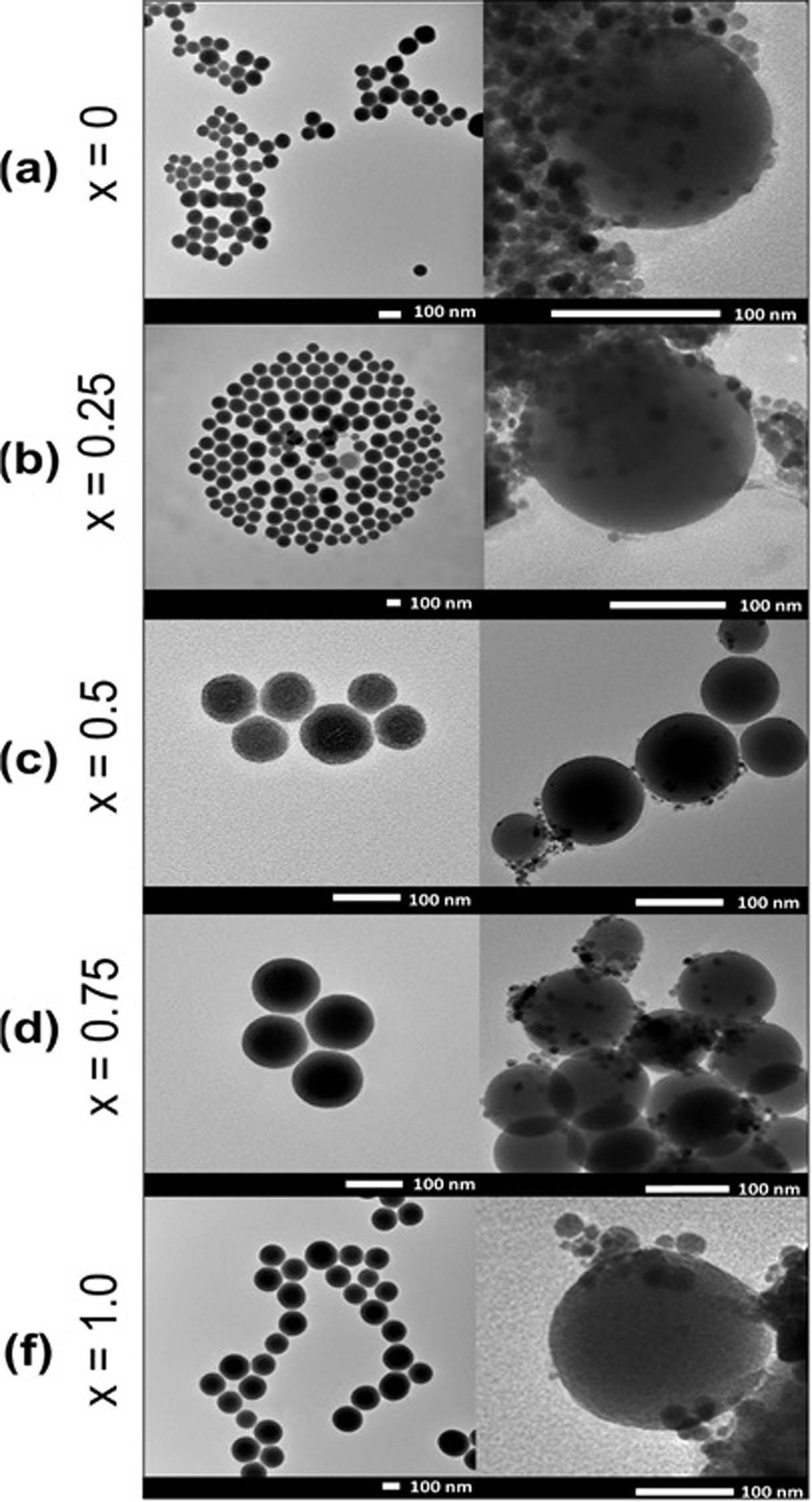 Figure 23 
               TEM images of the decorated (left) and undecorated (right) nanocomposites with varying Mn2+ contents. Adapted from ref. [142] with permission from Elsevier™.
            