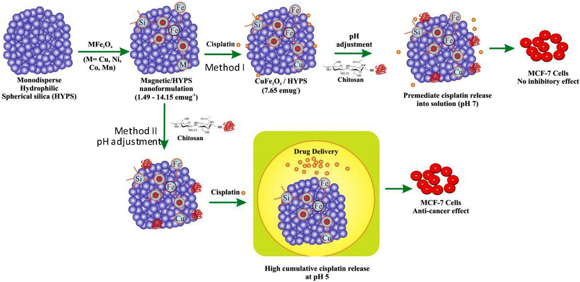 Figure 27 
               The CS/CuFe2O4/HYPS/cis-Pt nanocomposite optimized route. Adapted from ref. [3] with permission from Elsevier™.
            