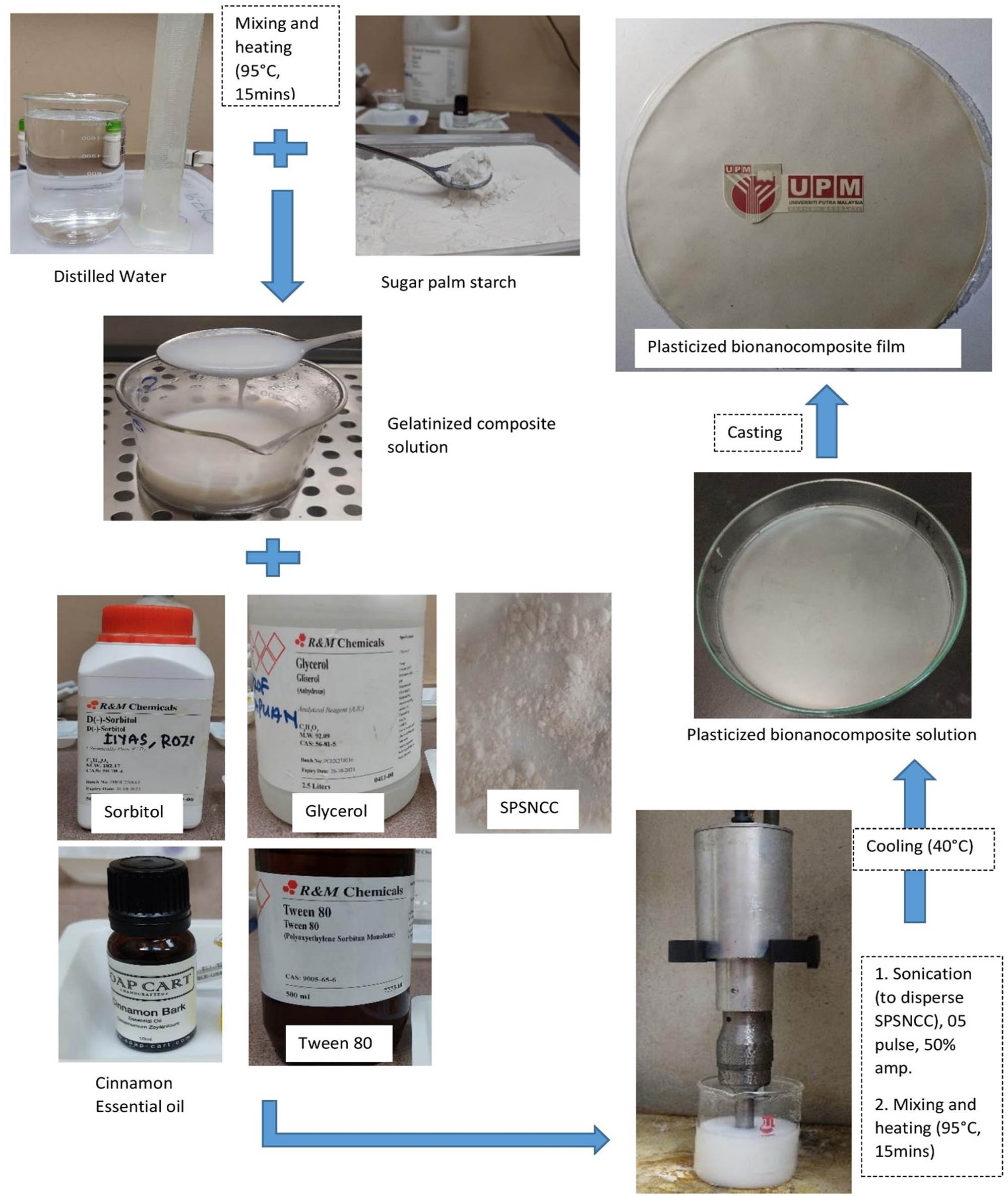 Figure 1
Processing flowchart of the bionanocomposite films.