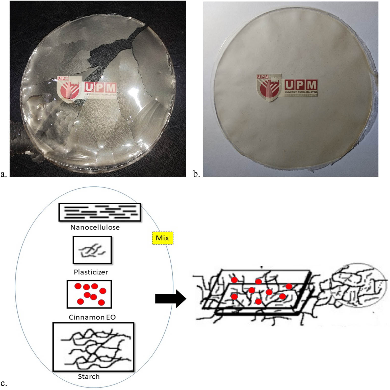 Figure 4
(a) SPS film without a plasticizer and (b) sugar palm bionanocomposites with a plasticizer. (c) Mechanism of reinforcement and the role of plasticizers.