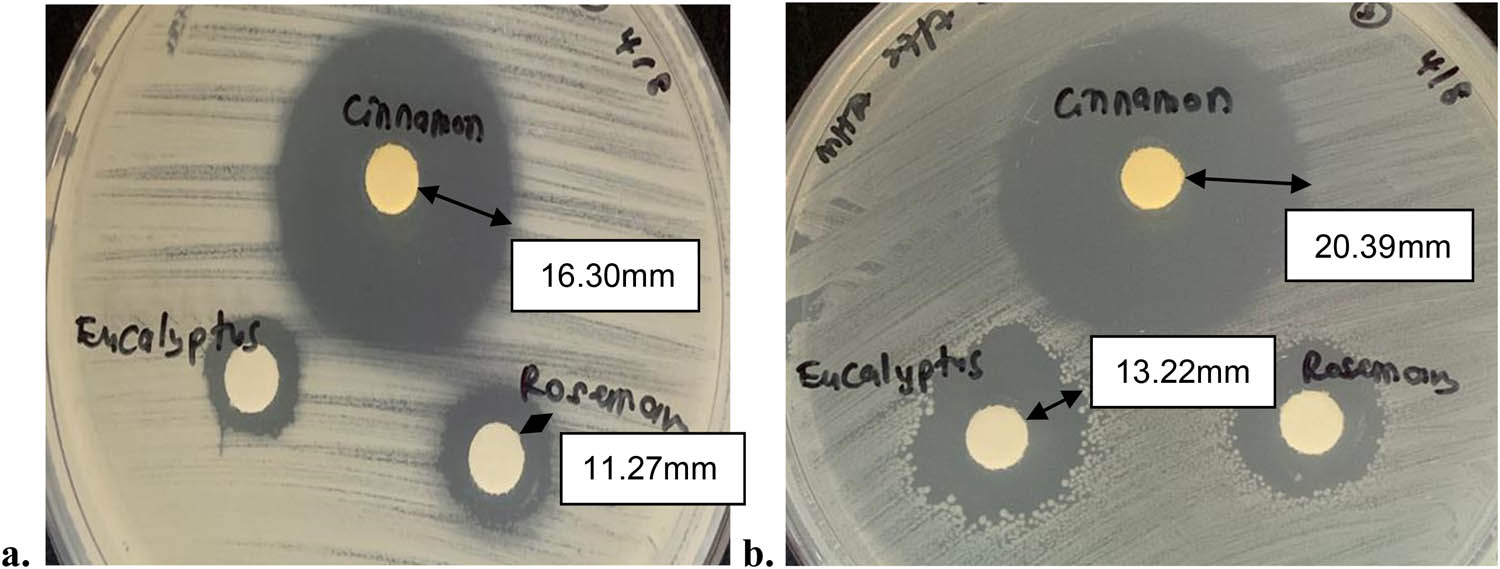 Figure 9
(a) Image of inhibition zone against B. subtilis and (b) inhibition zone against E. coli.