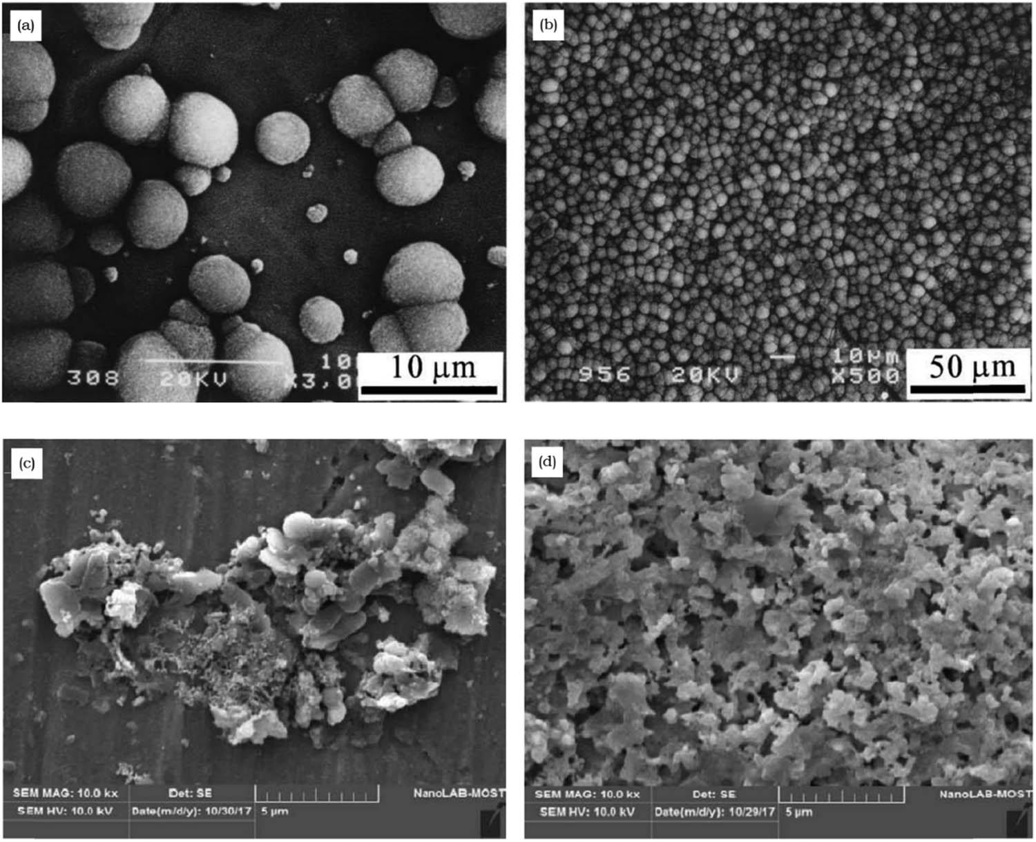 Figure 3 
                     Scanning electron microscopy (SEM) images of hydroxyapatite deposited on the Ti surface (a and b) using HPT and (c and d) sol–gel techniques. The newly formed apatite layer depending on different conditions, pH, temperature, and time led to (a and c) initial and (b and d) complete stages of HAp formation. [35] Copyright 2002, Elsevier; [36] Copyright 2020, Medico-Legal Update.
                  