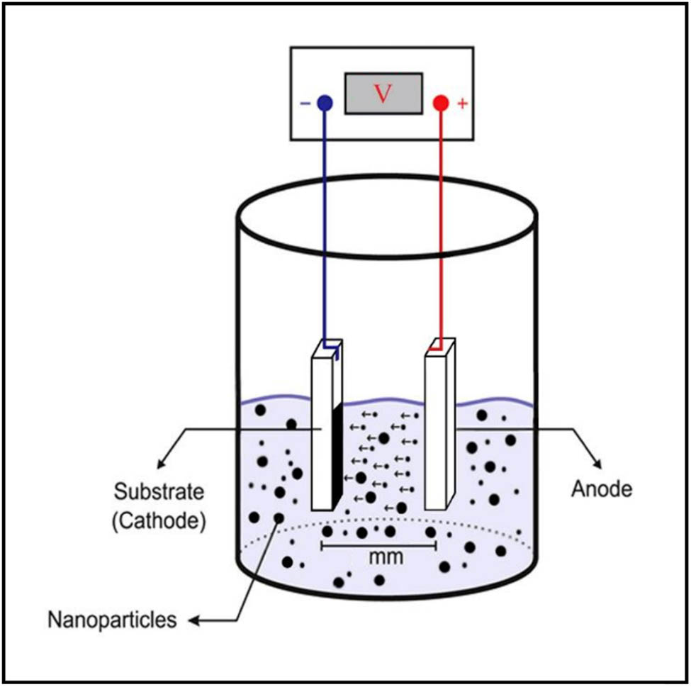 Figure 7 
                        Schematic illustration of the electrophoretic deposition process [84]. Copyright 2015, ACS.
                     