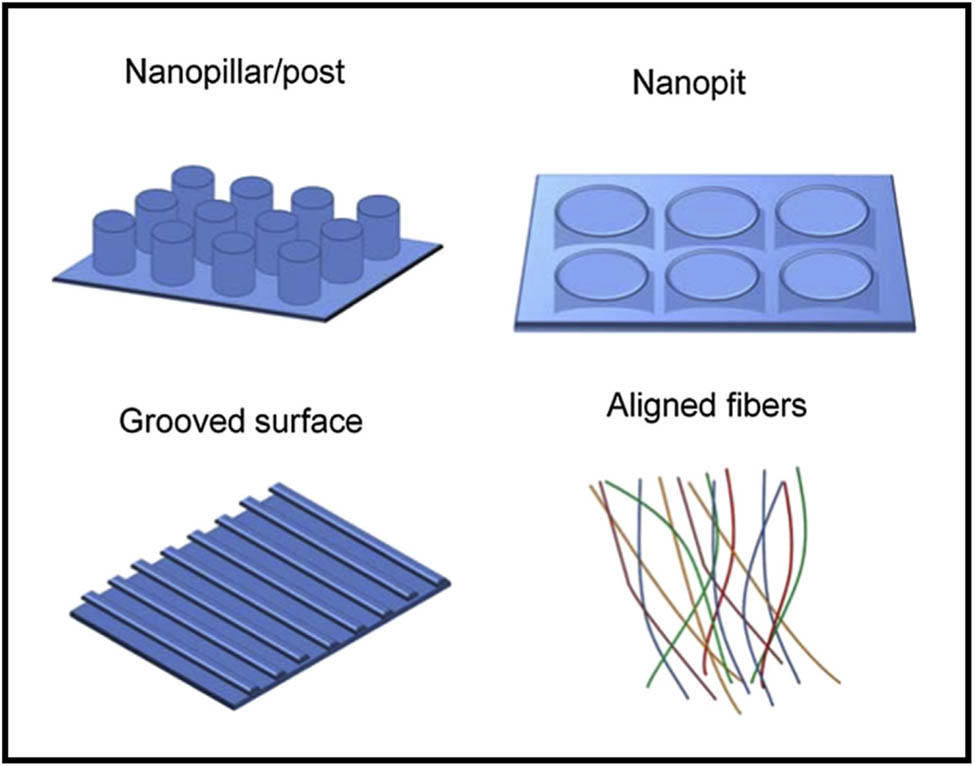 Figure 15 
               Schematic illustration of some nanopatterns [121]. Copyright 2016, Elsevier™.
            