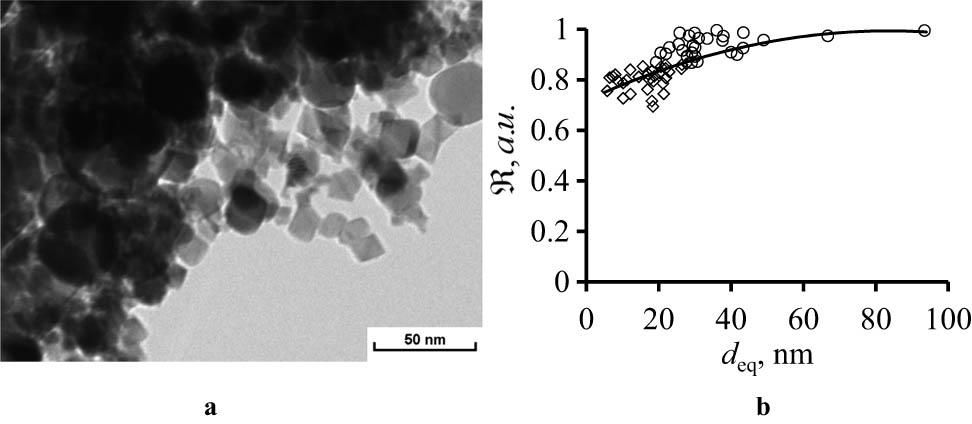 Figure 1 
               (a) Transmission electron microscopy image of cerium oxide nanoparticles obtained by laser ablation. (b) Dependence of the degree of nanoparticles' sphericity on their size.
            