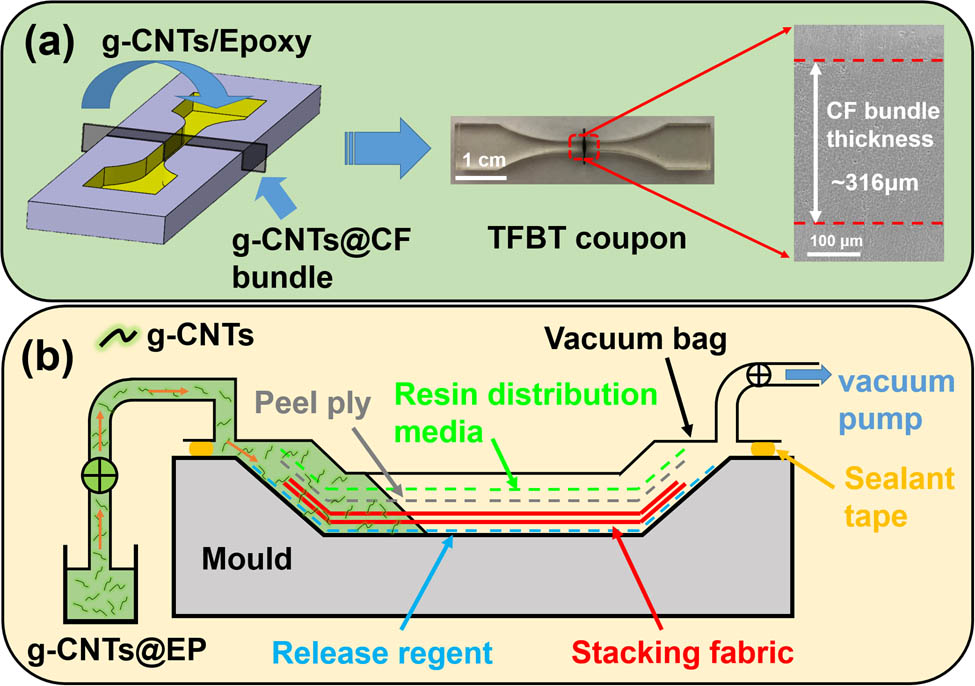 Figure 2 
                  Fabrication of TFBT (a) and CFRP (b) samples strengthened via g-CNTs.
               