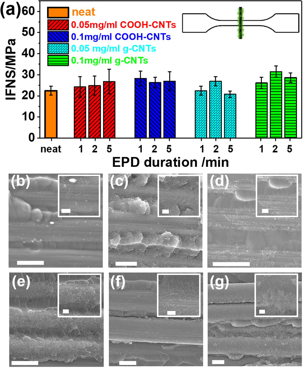 Figure 4 
                  IFNS from fiber enhancement under different nanofiller depositions (a) and SEM images of g-CNTs (b)–(d) and C-CNTs EPD (e)–(g) treated TFBT sample with the concentrations of 0.1 mg/mL, applied voltage strength of 10 V/cm, and duration time of 1, 2, and 5 min. The scale bars of main and insert images are 5 and 1 µm, respectively.
               