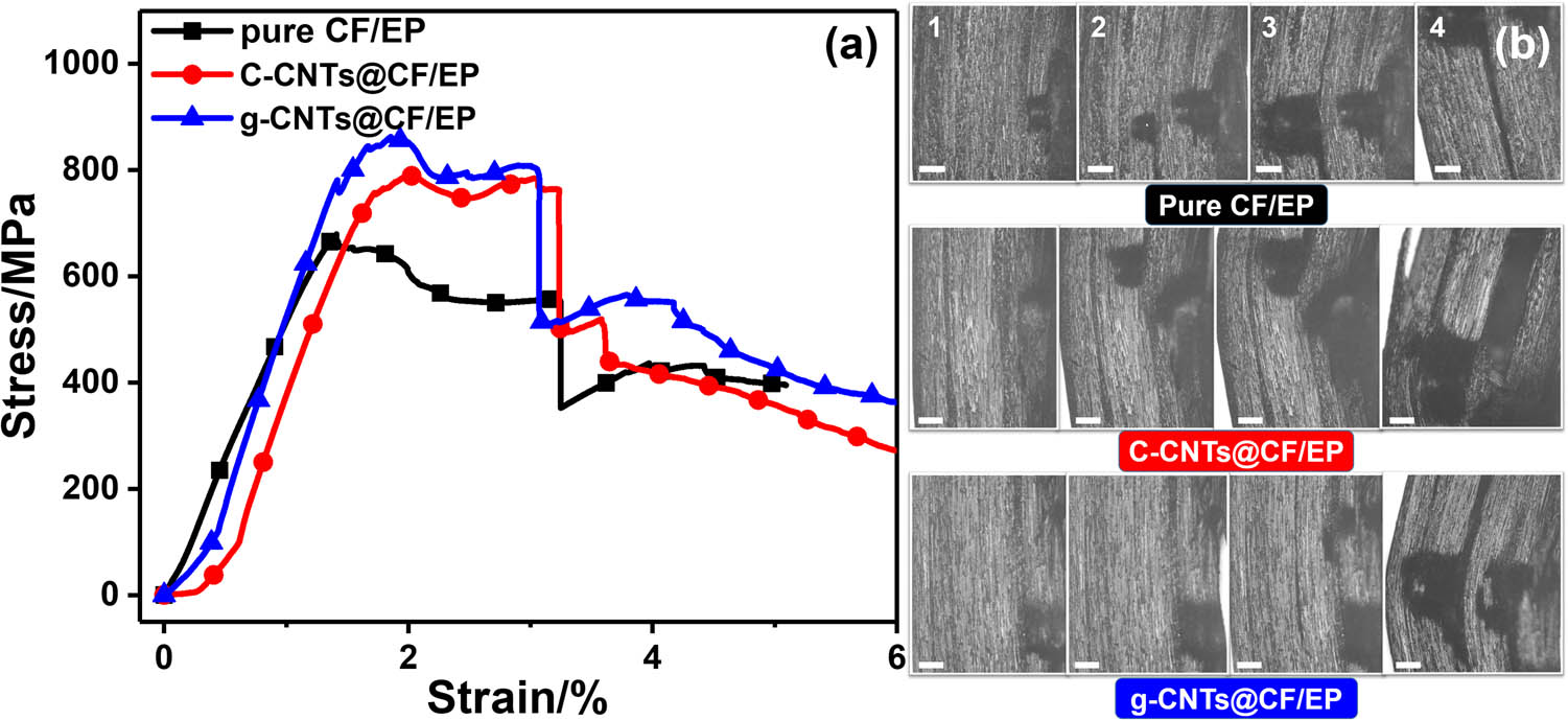 Figure 8 
                  Flexural stress–strain curves of in situ bending test (a) and optical microscopic images of pure CF/EP, C-CNTs@CF/EP, and g-CNTs@CF/EP composites via the fiber enhancement method (b). The scale bar is 200 µm.
               
