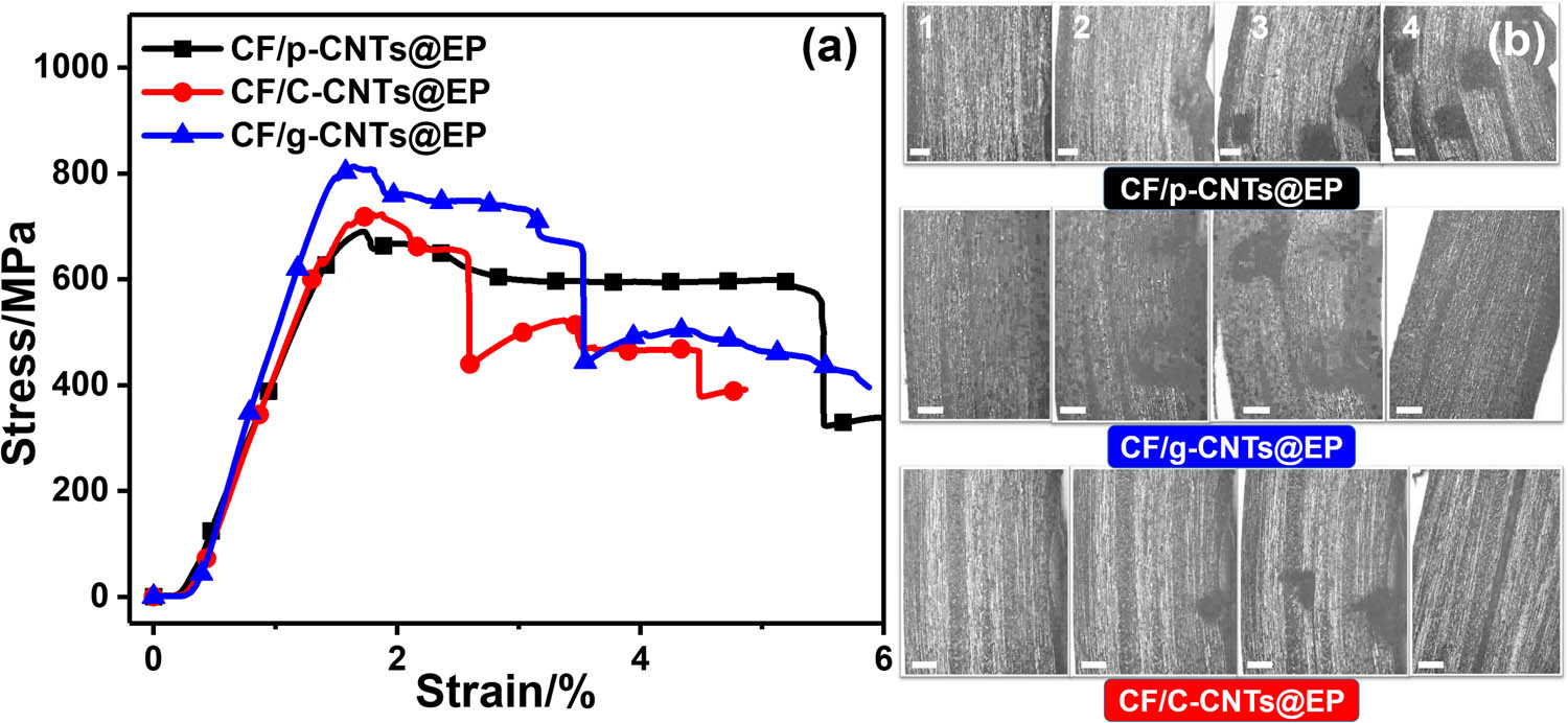 Figure 9 
                  Flexural stress–strain curves of in situ bending test (a) and optical microscopic images of CF/p-CNTs@EP, CF/C-CNTs@EP, and CF/g-CNTs@EP composites via matrix enhancement method (b). The scale bar is 200 µm.
               