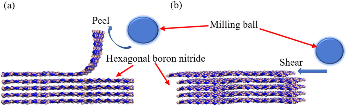 Figure 3 
                  Schematics of exfoliating BNNS from hexagonal boron nitride under (a) peel force and (b) shear force created by the metallic balls in the rotating shell.
               