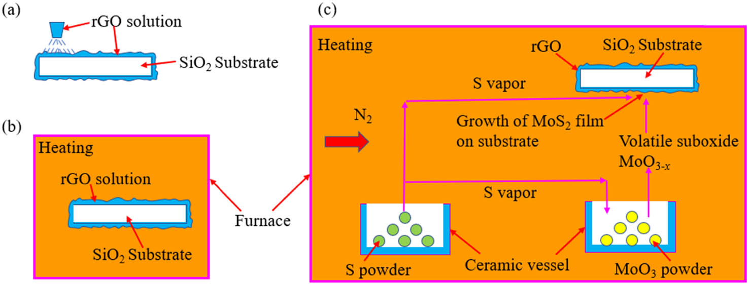 Figure 4 
                  The principle of chemical vapor deposition for synthesizing MoS2 nanosheet based on the reaction between sulfur (S) and molybdenum oxide (MoO3) at elevated temperature. (a) The rGO solution is spun on the surface of the SiO2 substrate. (b) The rGO solution is dried in a furnace at 50°C. (c) The sulfur (S) powder and molybdenum oxide (MoO3) powder are put in a furnace at 650°C in a nitrogen environment.
               