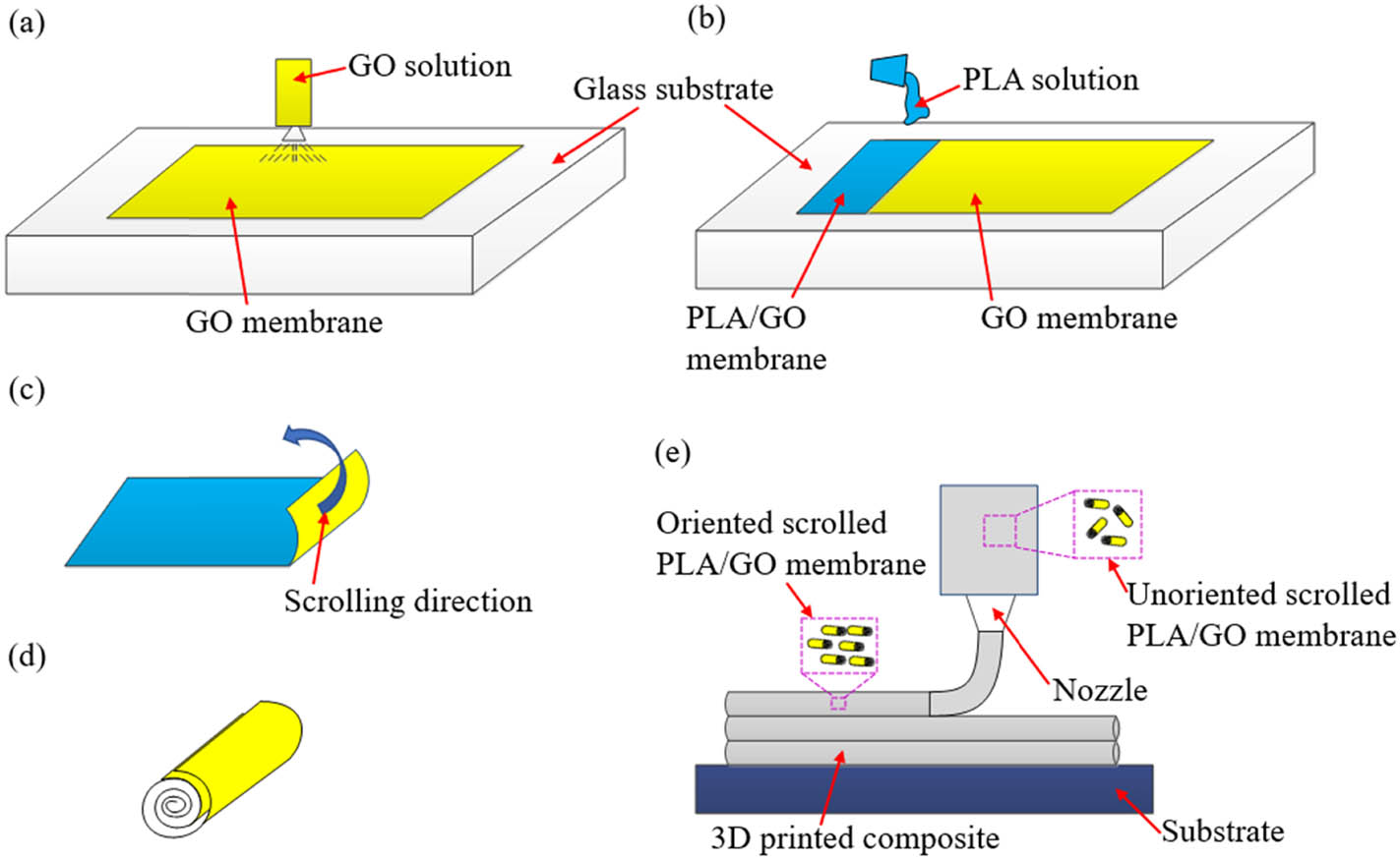 Figure 7 
                  Schematic diagram of making highly oriented 2D nanomaterials for 3D printed composites. (a) Graphene oxide (GO) solution is sprayed on the surface of the glass substrate to form a GO membrane. (b) Polylactic acid (PLA) solution is cast on the surface of GO solution to form PLA/GO membrane. (c) PLA/GO membrane is scrolled. (d) Unoriented scrolled PLA/GO membrane is transferred to oriented scrolled PLA/GO membrane in 3D printed composite. (e) 2D nanomaterials are oriented in the 3D printed structures.
               