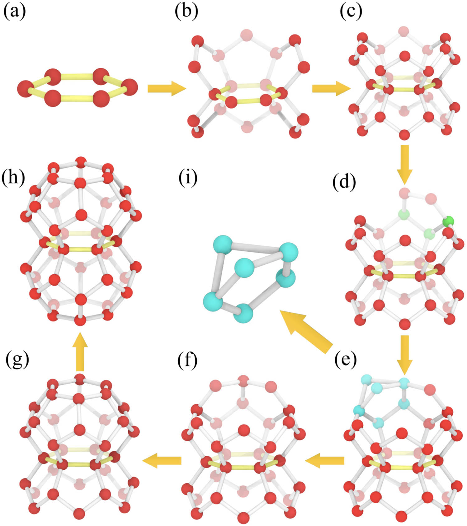 Figure 2 
                     Scheme of HTR algorithm. Choosing a ring (a) as the bottom ring, we can find all the rings that share a hydrogen bond with this ring. Through the process (b), the algorithm can find all the rings that share a hydrogen bond with this ring and obtain the two half-cage structures that share the same ring in (c). Select one of the half cages for the topology of rings, and the three green water molecules at the edge of the upper half of the cage in (d) can generally be located in the unique ring from the identified ring library. Repeat the ring topology process, and if the cage cannot be closed, go back to step (e) to use another ring for topology. If the cage is closed, as shown in (g), repeat the aforementioned topological process for the lower half of the cage and finally get a double-cage structure sharing a ring in (h). If the two rings in (i) share more than three water molecules, the HTR algorithm will first select one of the rings to obtain the structure (f) and then proceed to the next topology.
                  