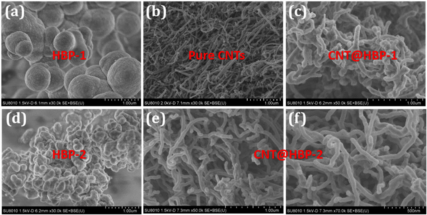 Figure 2 
                  Typical SEM images of (a) HBP-1, (b) CNTs, (c) CNT@HBP-1, (d) HBP-2, and (e and f) CNT@HBP-2.
               