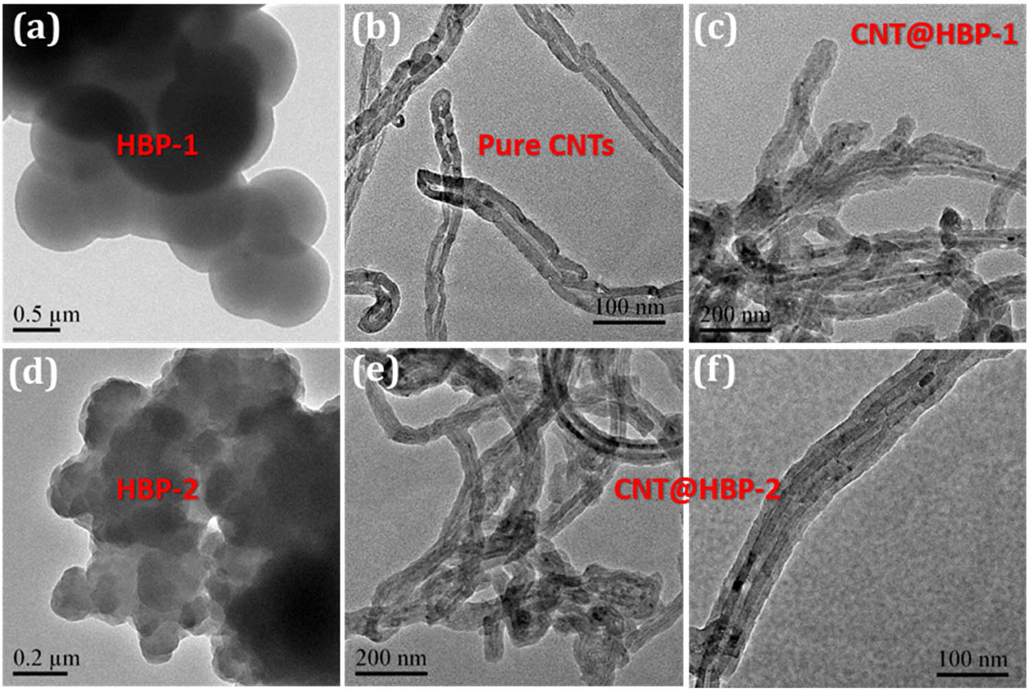 Figure 3 
                  Typical TEM images of (a) HBP-1, (b) CNTs, (c) CNT@HBP-1, (d) HBP-2, and (e and f) CNT@HBP-2.
               