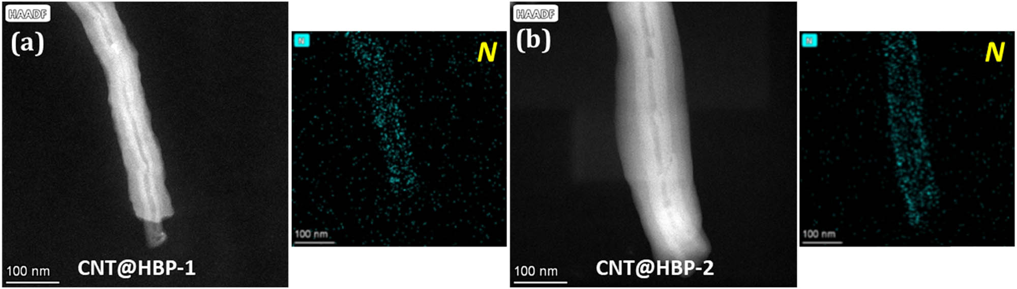 Figure 4 
                  High-angle annular dark-field STEM images and the corresponding EDX elemental mappings of (a) CNT@HBP-1 and (b) CNT@HBP-2.
               