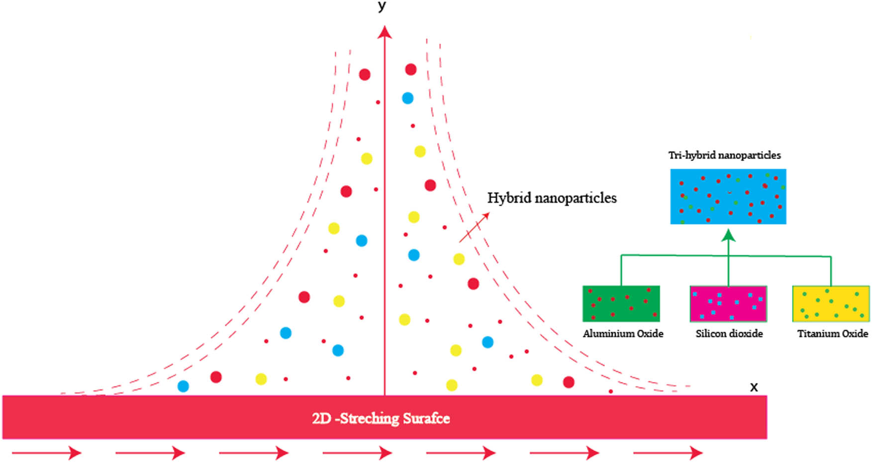 Figure 2 
               Geometry of the developed model.
            