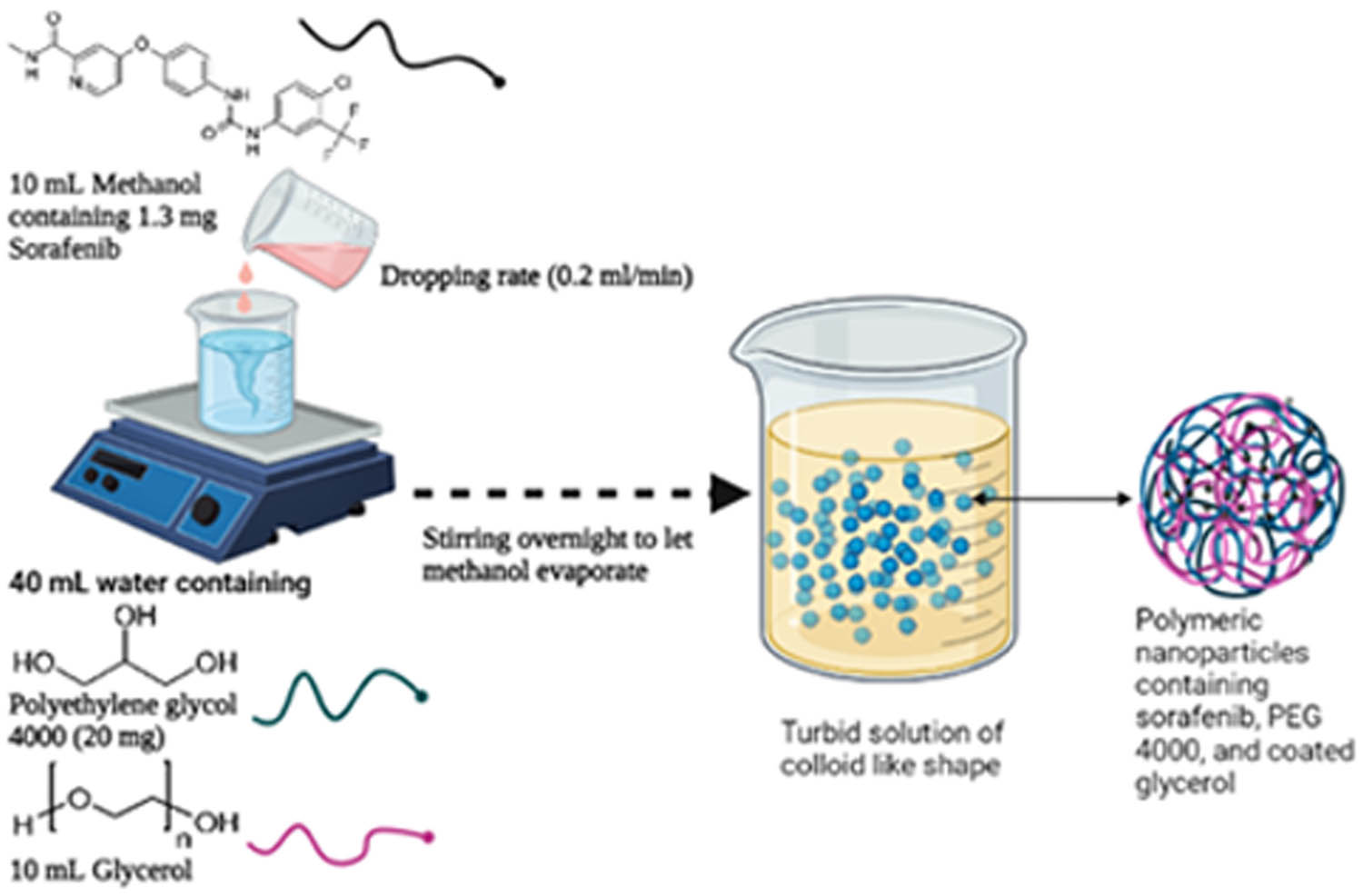 Figure 1 
               Schematic illustrating the preparation of SFB-NPs formation.
            